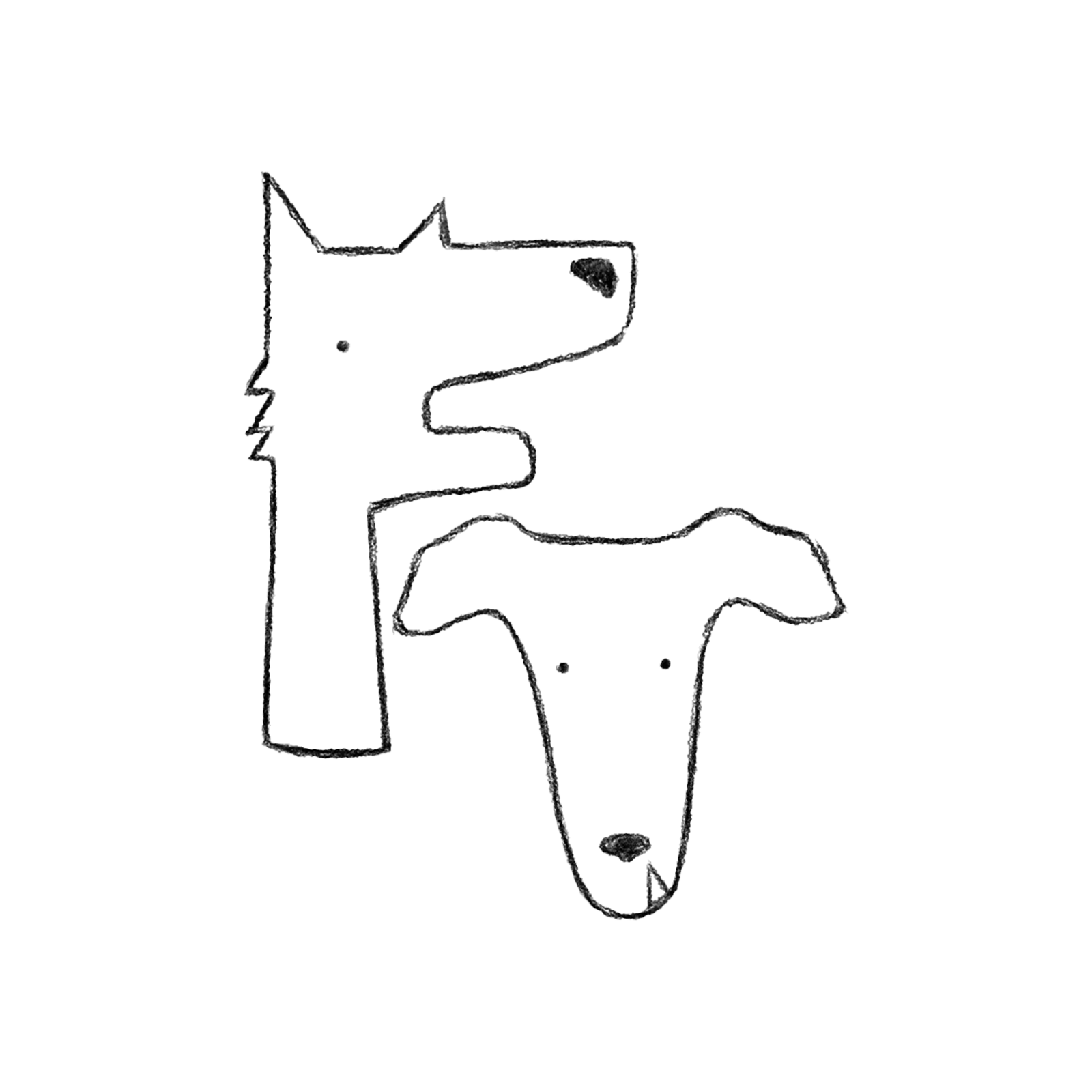 Flash Tail Studio